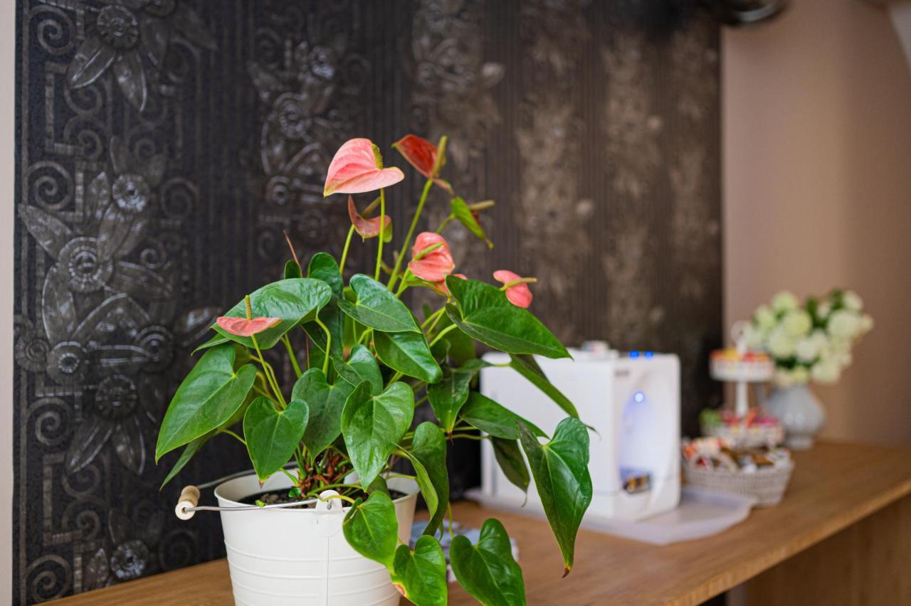 זאגרב Paon Boutique Apartments מראה חיצוני תמונה